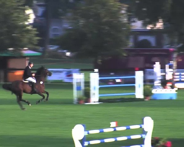 Reitturnier Bad Segeberg 2015