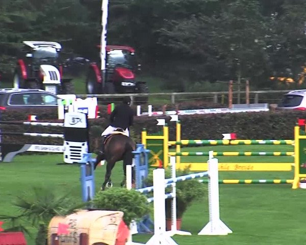 Reitturnier Bad Segeberg 2015