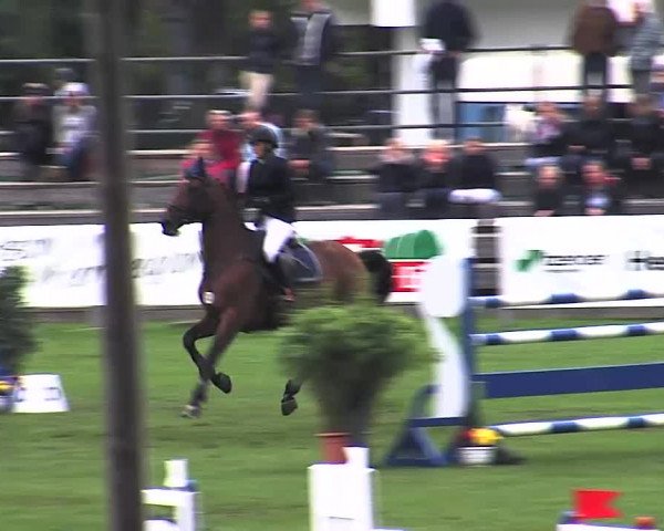 Reitturnier Bad Segeberg 2015