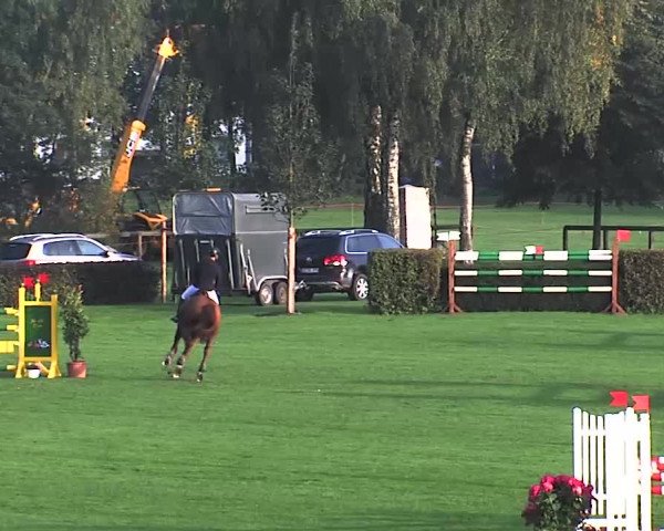 Reitturnier Bad Segeberg 2015