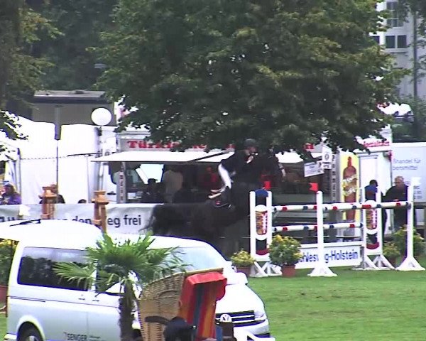 Reitturnier Bad Segeberg 2015