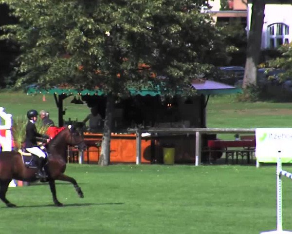 Reitturnier Bad Segeberg 2015