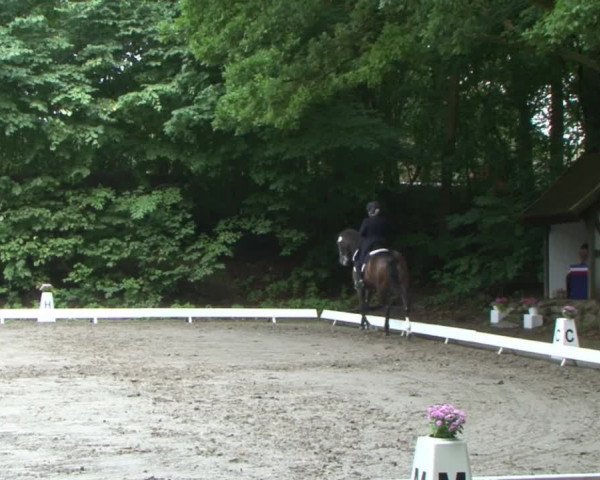 Reitturnier Bad Segeberg 2015