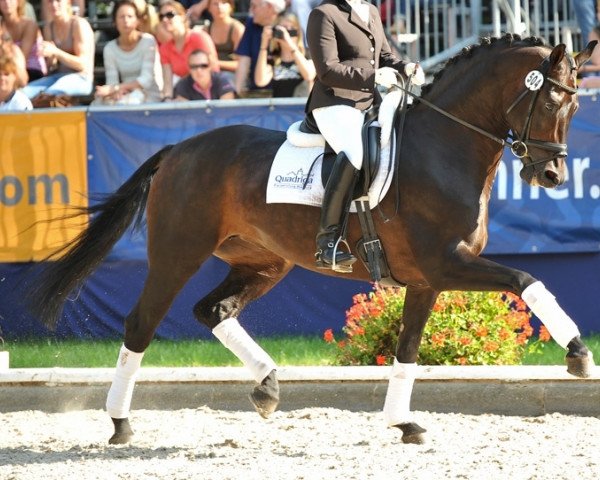 broodmare Jazz Queen (Württemberger, 2005, from Jazzman)