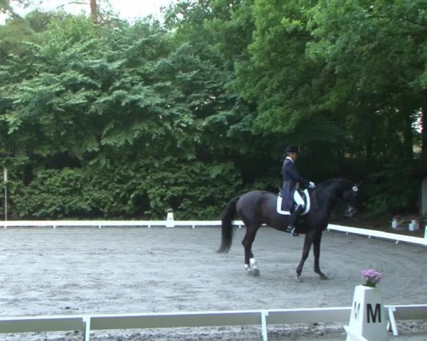Reitturnier Bad Segeberg 2015