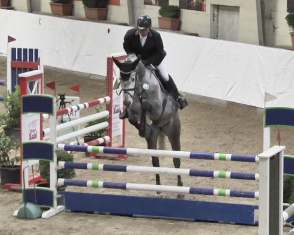jumper Diakato (Hanoverian, 2014, from Diacontinus)