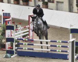 jumper Diakato (Hanoverian, 2014, from Diacontinus)