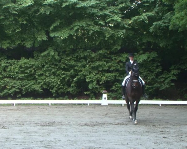 Reitturnier Bad Segeberg 2015