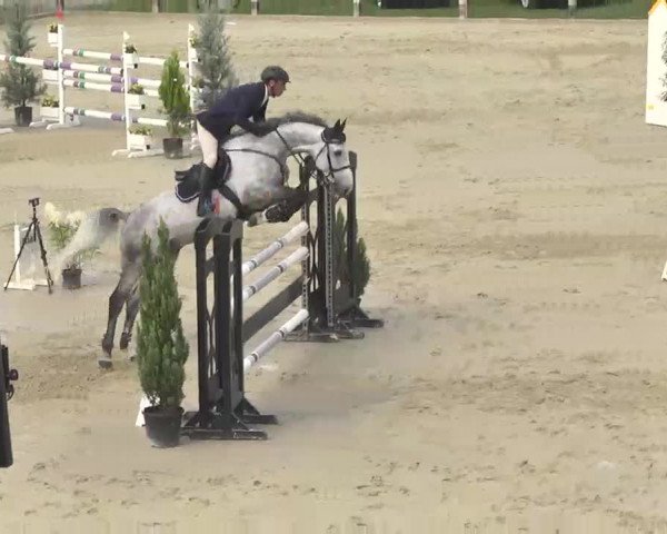 Reitturnier Linkenheim-Hochstetten 2015