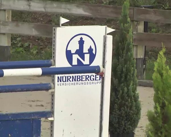 Reitturnier Linkenheim-Hochstetten 2015