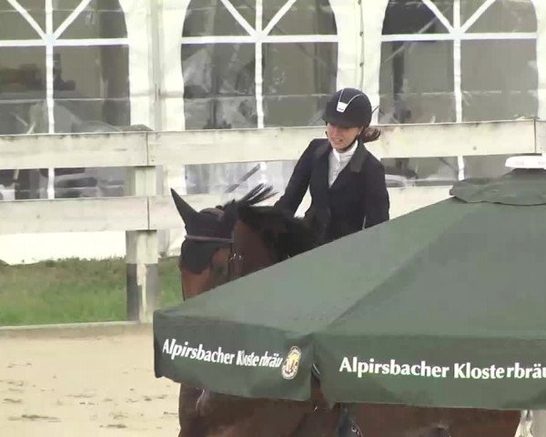 Reitturnier Linkenheim-Hochstetten 2015