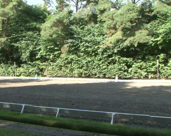 Reitturnier Bad Segeberg 2015