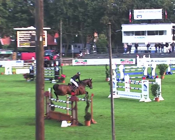 Reitturnier Bad Segeberg 2015