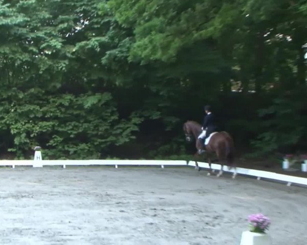 Reitturnier Bad Segeberg 2015
