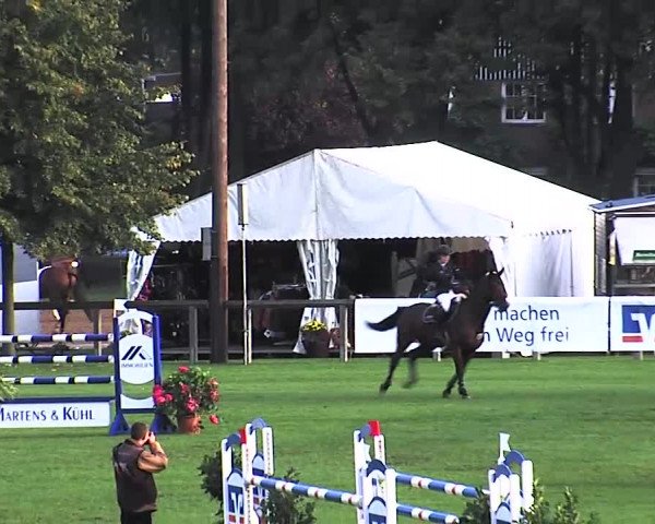 Reitturnier Bad Segeberg 2015