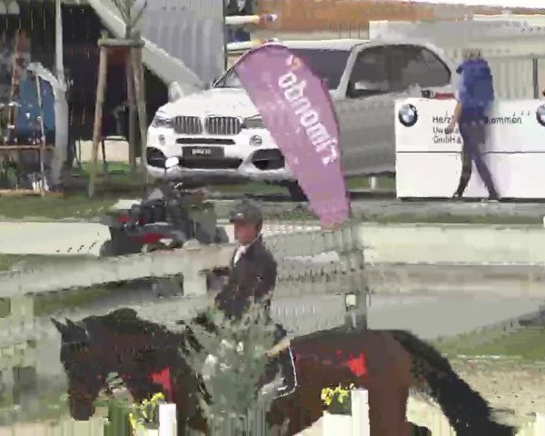 Reitturnier Linkenheim-Hochstetten 2015