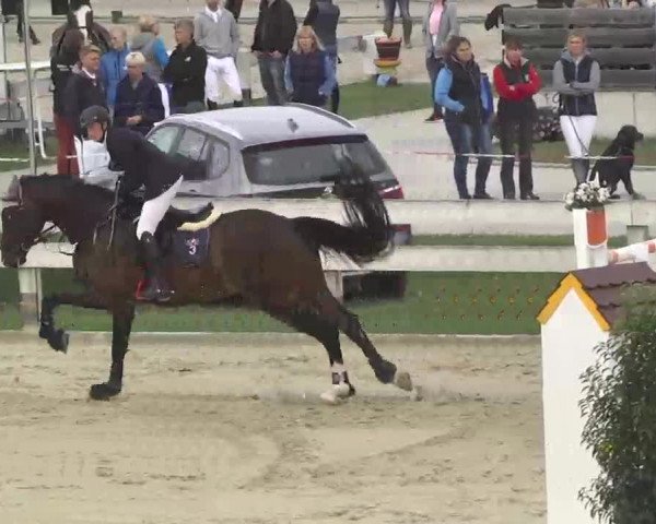 Reitturnier Linkenheim-Hochstetten 2015