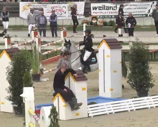 Reitturnier Linkenheim-Hochstetten 2015