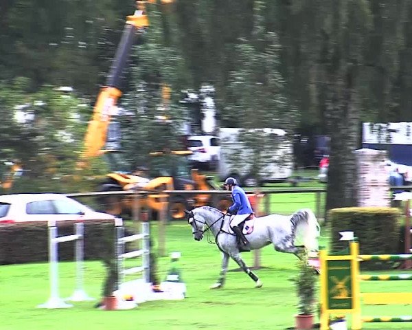 Reitturnier Bad Segeberg 2015