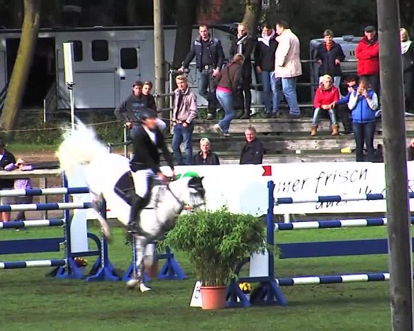 Reitturnier Bad Segeberg 2015