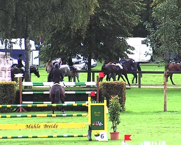 Reitturnier Bad Segeberg 2015