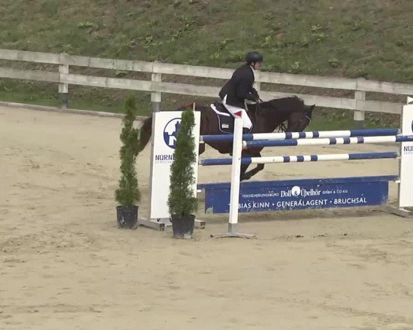 Reitturnier Linkenheim-Hochstetten 2015