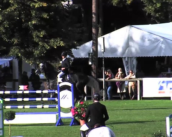 Reitturnier Bad Segeberg 2015