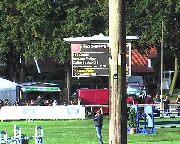 Reitturnier Bad Segeberg 2015