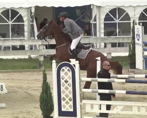 Reitturnier Linkenheim-Hochstetten 2015