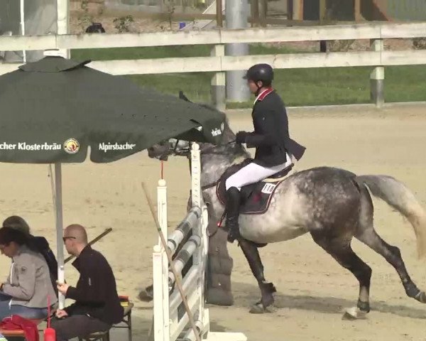 Reitturnier Linkenheim-Hochstetten 2015