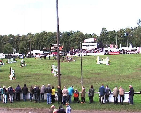 Reitturnier Bad Segeberg 2015