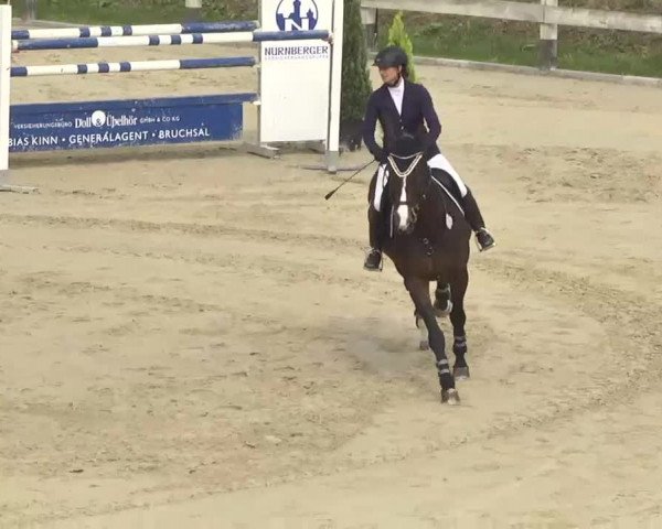 Reitturnier Linkenheim-Hochstetten 2015