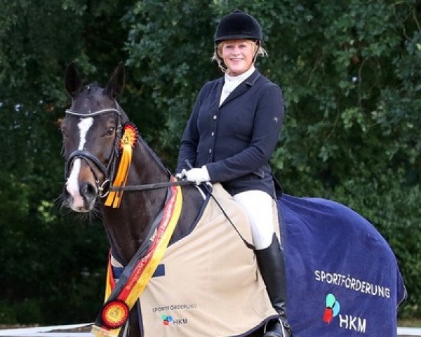 dressage horse Solitär 45 (Hanoverian, 2009, from Scolari)