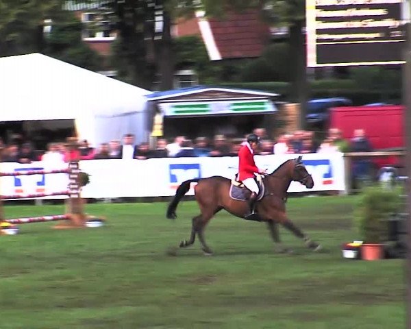 Reitturnier Bad Segeberg 2015