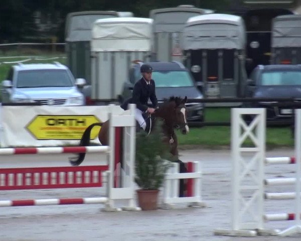 Reitturnier Bergisch Gladbach-Paffrath 2015