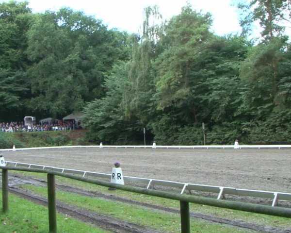 Reitturnier Bad Segeberg 2015