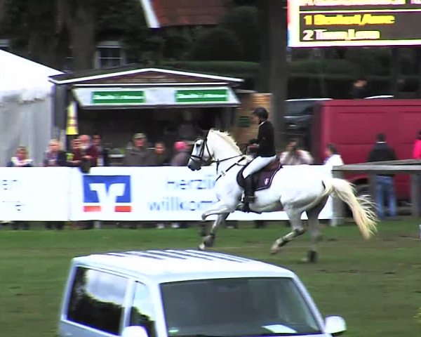 Reitturnier Bad Segeberg 2015