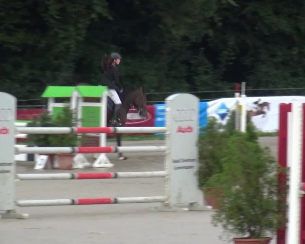 Reitturnier Bergisch Gladbach-Paffrath 2015