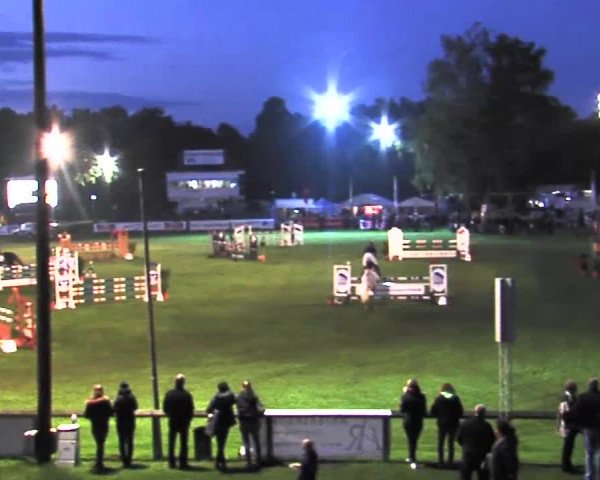 Reitturnier Bad Segeberg 2015