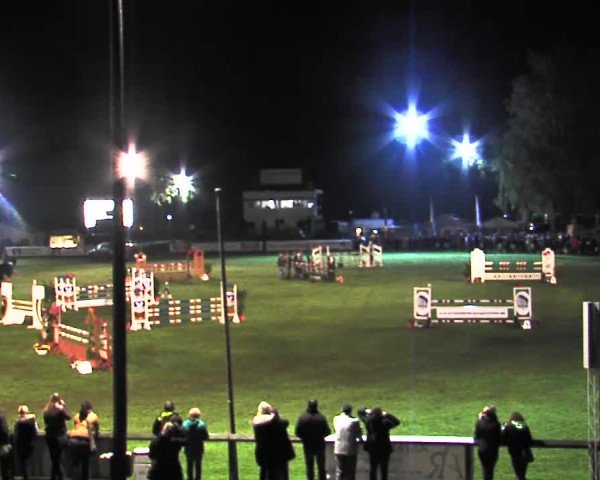 Reitturnier Bad Segeberg 2015