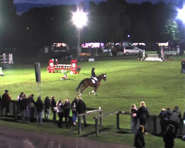Reitturnier Bad Segeberg 2015