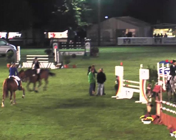 Reitturnier Bad Segeberg 2015