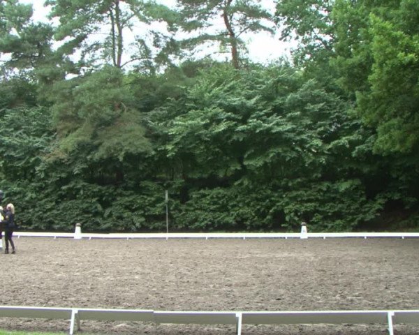 Reitturnier Bad Segeberg 2015