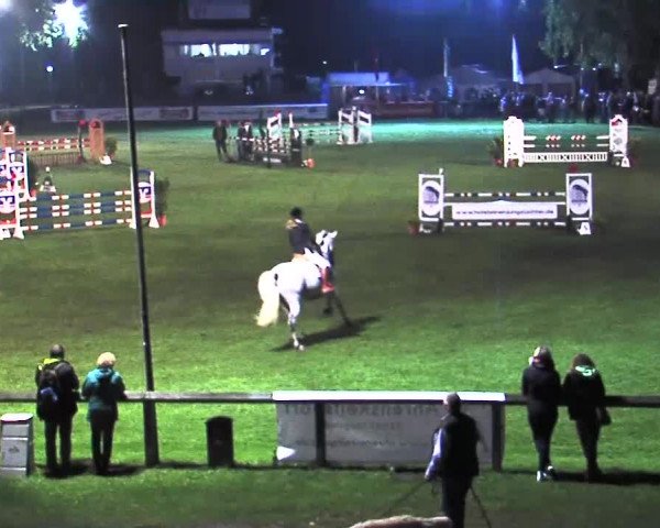 Reitturnier Bad Segeberg 2015