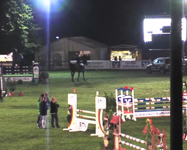 Reitturnier Bad Segeberg 2015