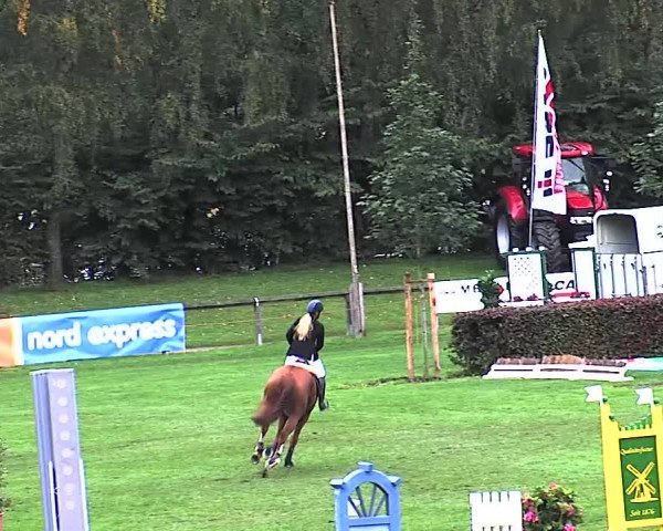 Reitturnier Bad Segeberg 2015
