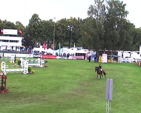 Reitturnier Bad Segeberg 2015