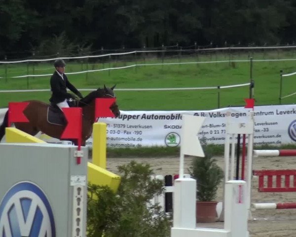 Reitturnier Bergisch Gladbach-Paffrath 2015