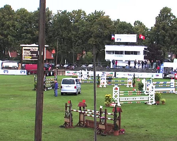 Reitturnier Bad Segeberg 2015