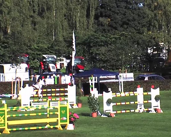 Reitturnier Bad Segeberg 2015
